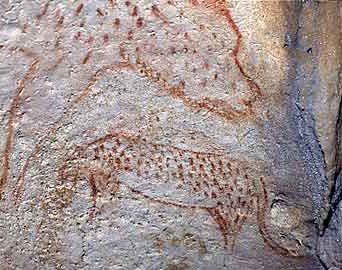 Αιλουροειδή ζωγραφισμένα σε μια αίθουσα της παλαιολιθικής σπηλιάς grotte Chauvet, που βρέθηκε το 1994 (Ardèche, Γαλλία).