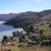 Maori adze uncovered at post office site