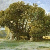 The tree that grew old beneath Mount Etna