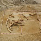 Prehistoric finds in Northern Greece