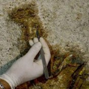Hellenistic mosaic found in Calabria