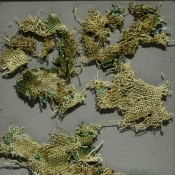 Ancient stinging nettles reveal Bronze Age trade connections