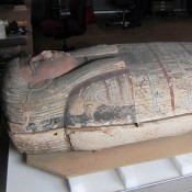 Live Mummy Conservation