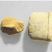 Cycladic Seminar
