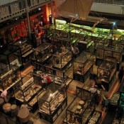 The Future of Ethnographic Museums
