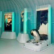 Ice Station Antarctica: 50,000 visitors