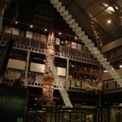 Museum Evolution