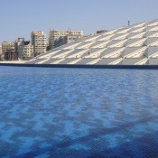 2013 Egyptological Congress postponed
