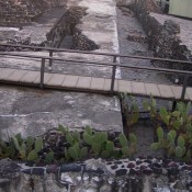400 Animal Species Were Offered to Gods in Tenochtitlan