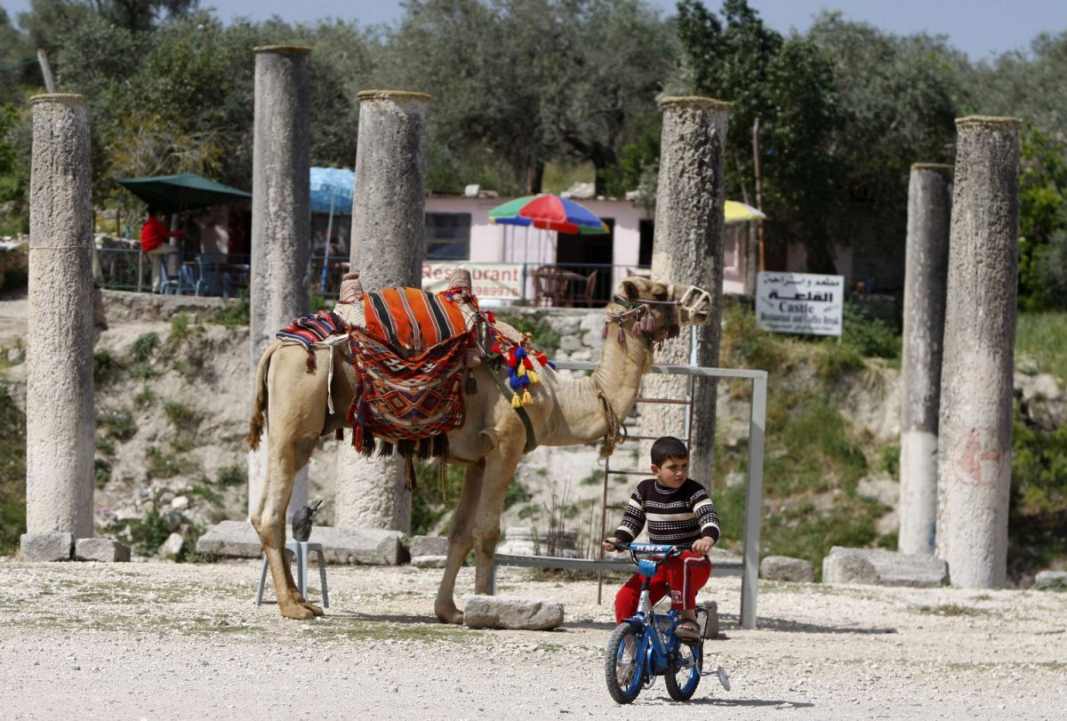 A child riding a bike in front of a camel and around Sebastia's Roman ruins. 