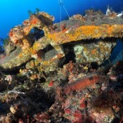 Anchors from Punic Wars found off Sicily
