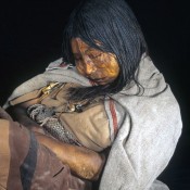 Cleaning Up Ancient Human DNA