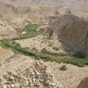 Farming Developed Independently in Iran