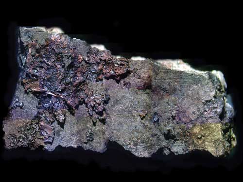 Hunter-gatherers’ taste for spice