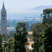 Egyptology Position at UC Berkeley