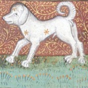 Pet Care Advice from the Middle Ages