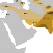 India and Mesopotamia linked by genetics