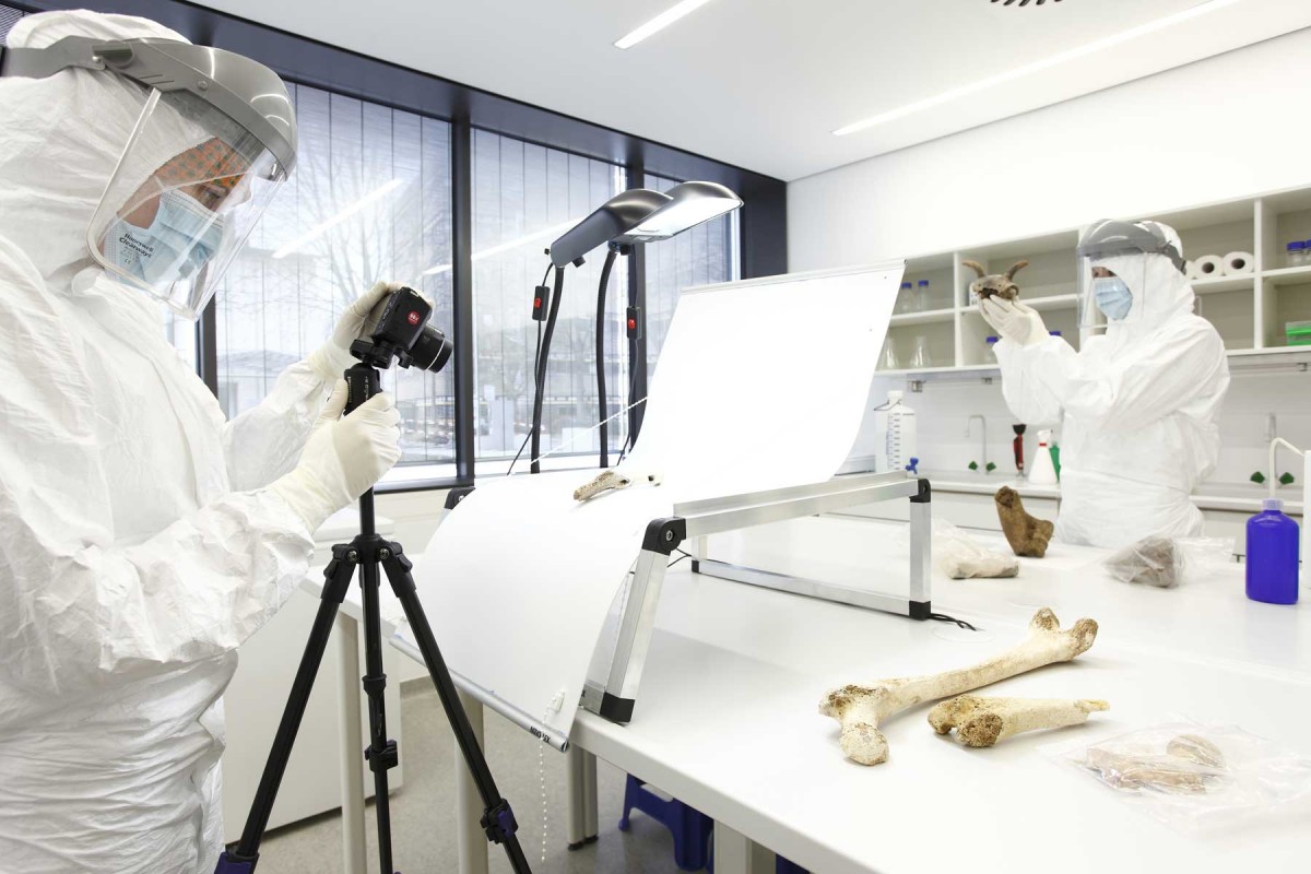 Palaeogenetic research in the ultra-clean laboratory at Mainz University. Photo: Thomas Hartmann.