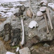 Mystery Solved: The Skeleton Lake of India