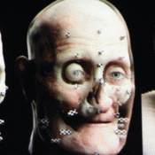 Mummified Head Did Not Belong To French King Henri IV