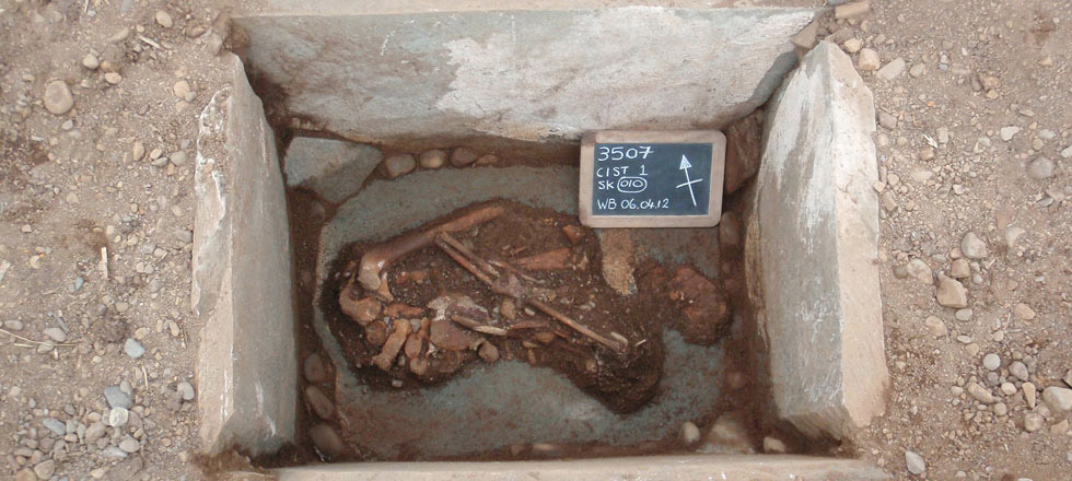 Blairbuy Farm, Cist 1 skeletal remains. Photo: GUARD Archaeology Ltd