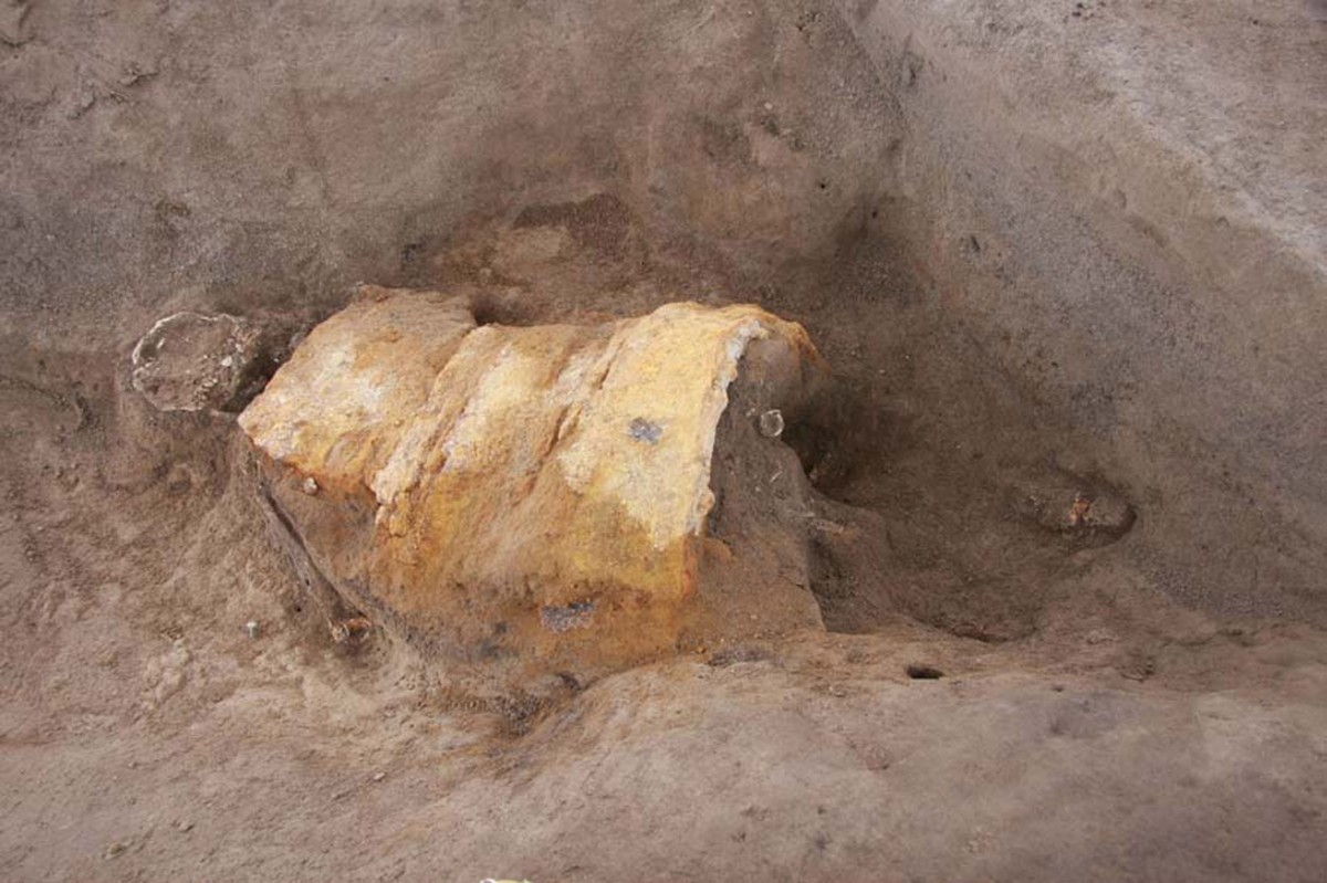 Image from the excavation at Kanai-Higashiura, Shibukawa, Japan. Image: Japan Times.