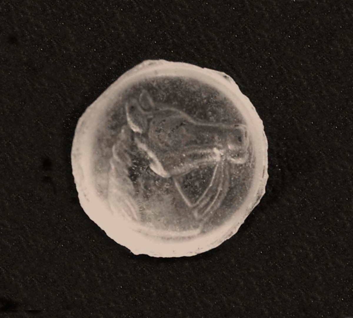 Fig. 8. Glass gemstone with engraved representation of horse with reins, possibly related to Thessalian dedicator. Thessalian cavalry was known and participated in the Greek (“Macedonian”) - Persian conflict on both sides.