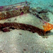 Ancient naval battle site yields relics of war