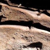 Old School Archaeology in Mazowieckie
