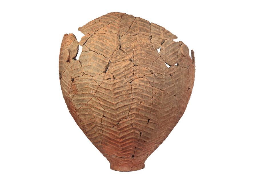 Fig. 7. Keryneia: Jar with relief decoration of fishbone type.