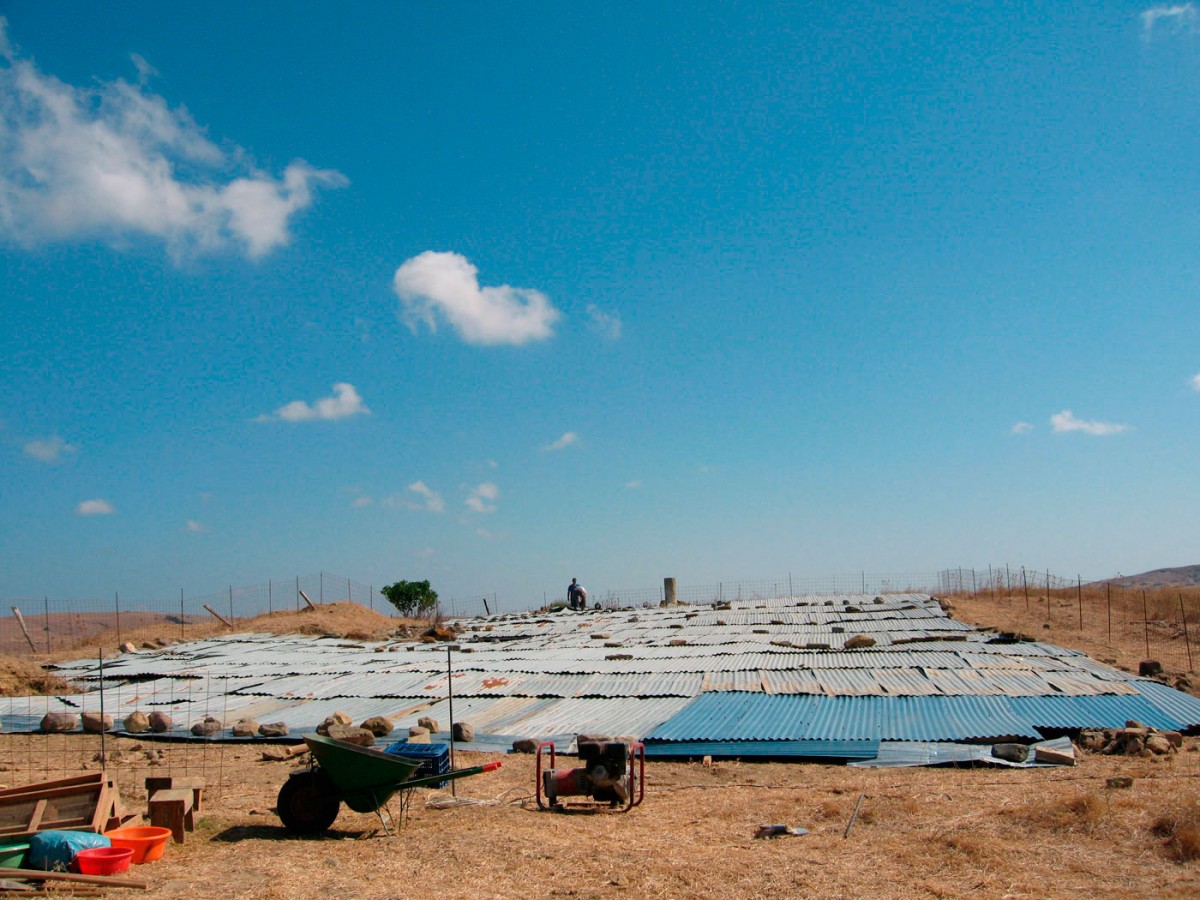 Fig. 3. The excavated archaeological area with the temporary shelter (2011).