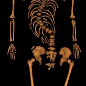 Richard III Genome To Be Sequenced