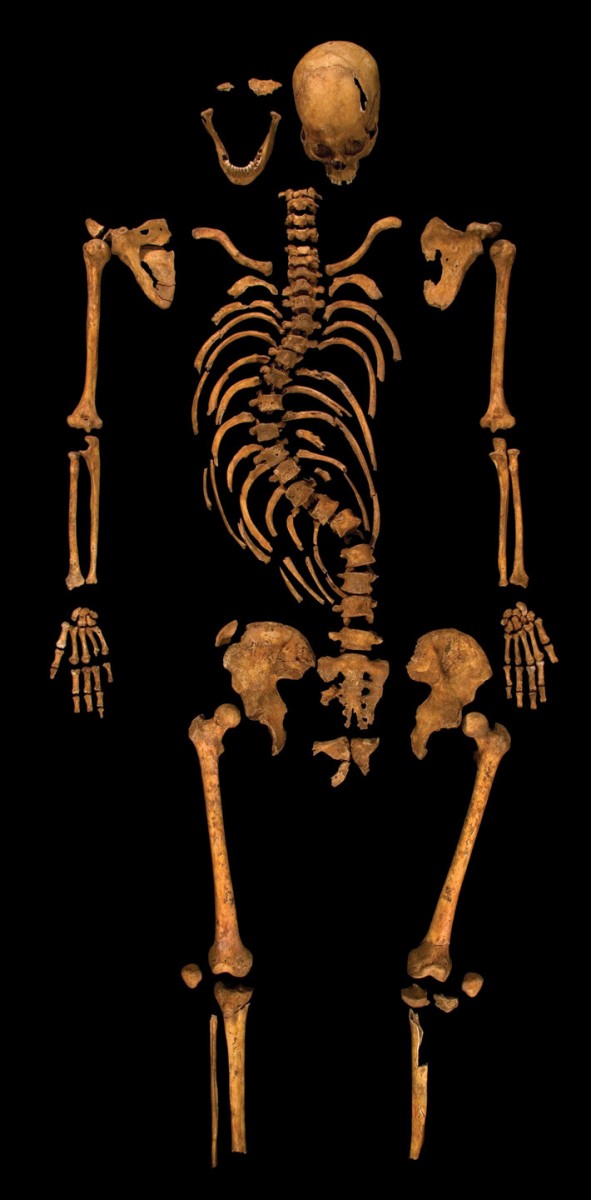 King Richard III's skeleton, found at Leicester, UK. 