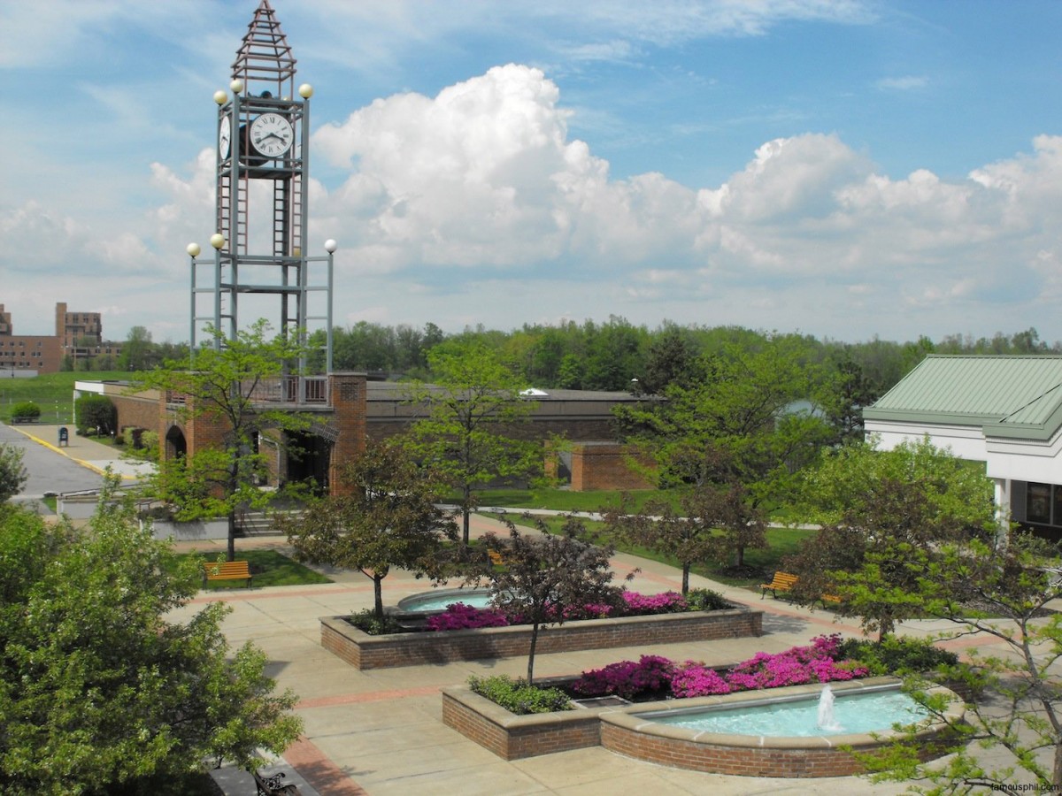 Post-Doctoral Research in SUNY Buffalo