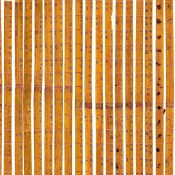 Revealing the World’s Oldest Decimal Multiplication Table