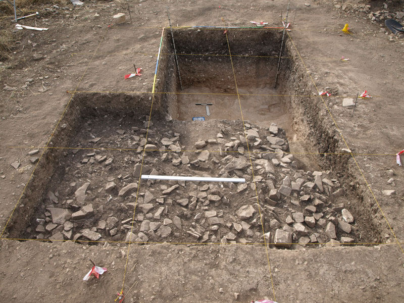 Fig. 3. The excavated area of the site and the ‘stone feature’.