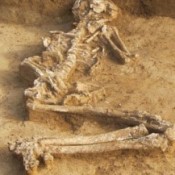 Pregnant for 6000 Years?