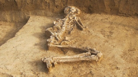 Skeleton believed to belong to a woman buried while pregnant. Sveshtari, Bulgaria, 3000 BC.
