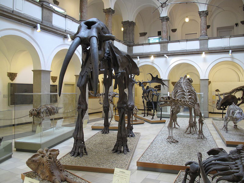 Museum Work – Working for Museums