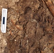 Piece of Fabric Found at Çatalhöyük