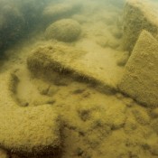 Exploring the Sunken Basilica of İznik