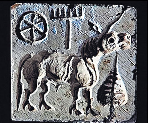 A Prehistoric Unicorn From Rajastan