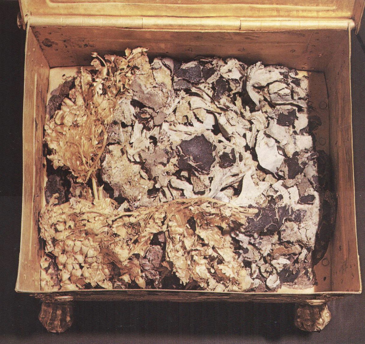 Fig. 1. The interior of the golden larnax from the chamber of Tomb II in the Great Tumulus of Vergina. On top of the bones one can see the golden oak wreath and fragments of royal purple and huntite.  