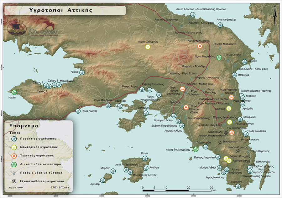 Fig. 3. Map of the Wetlands of Attica by the Greek Ornithological Society.