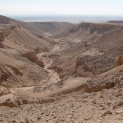 Three Kings and a Tomb