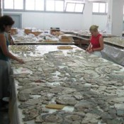 Thera Fresco Conservation Lab Closed