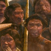 The Sima de los Huesos hominin