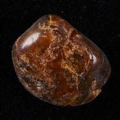 One secret of ancient amber revealed