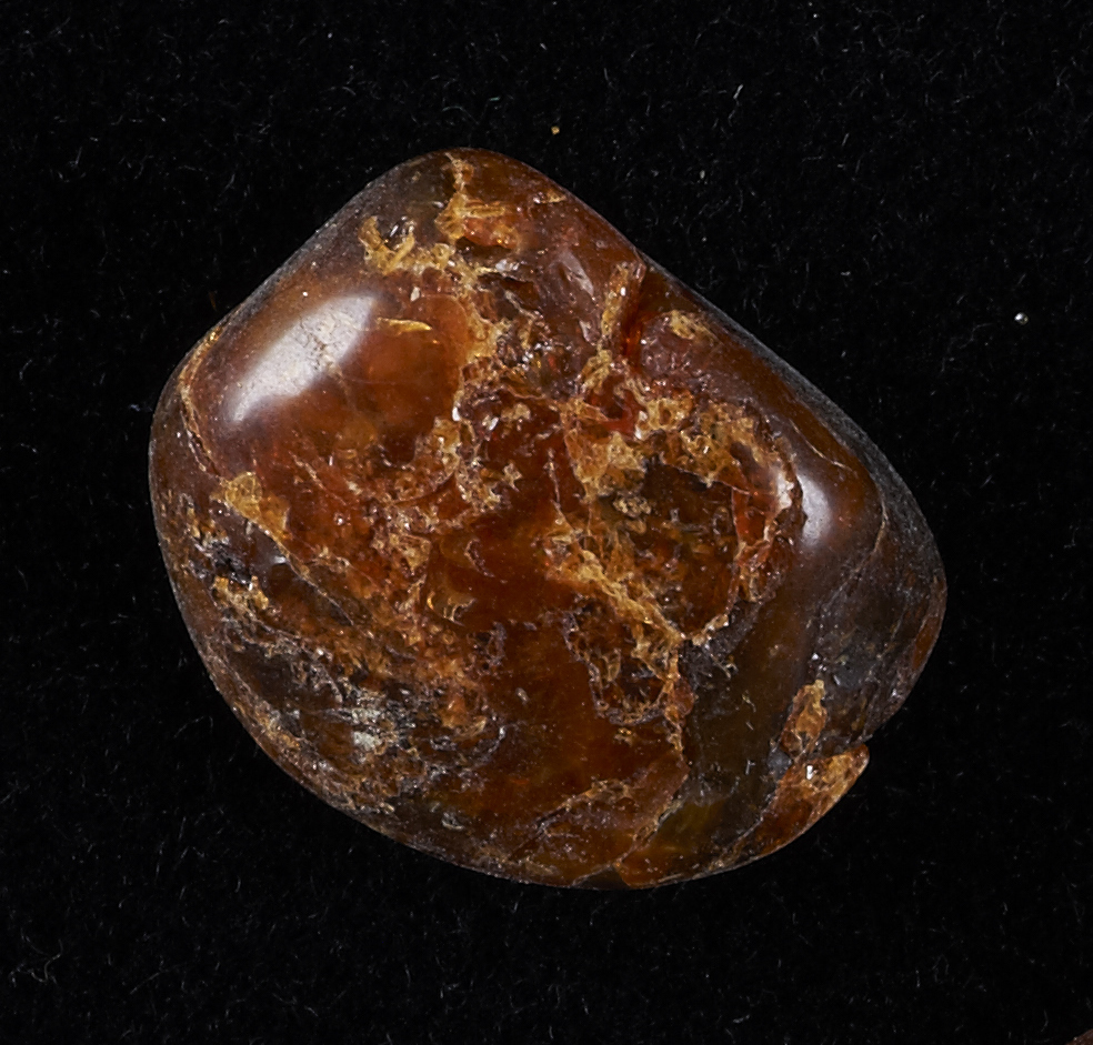 Studying this Canadian amber from the Late Cretaceous period, scientists have revealed one of its long-held secrets. © Government of Canada, Canadian Conservation Institute