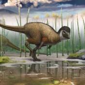 A Jurassic ornithischian dinosaur from Siberia with both feathers and scales